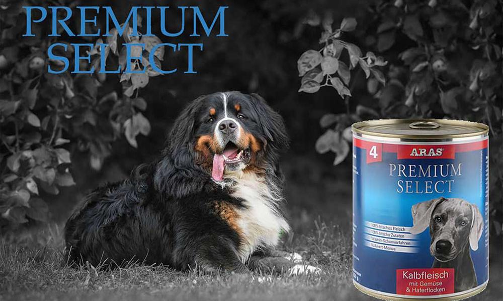 ARAS Nassfutter Hund, Premium Select