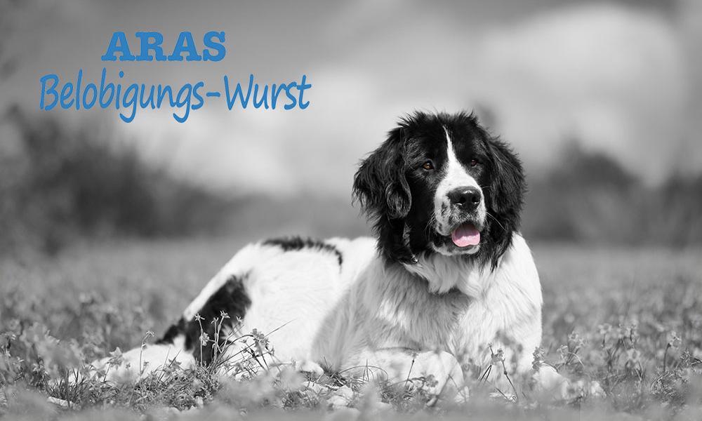 ARAS Gudis Hund, Belobigungswurst