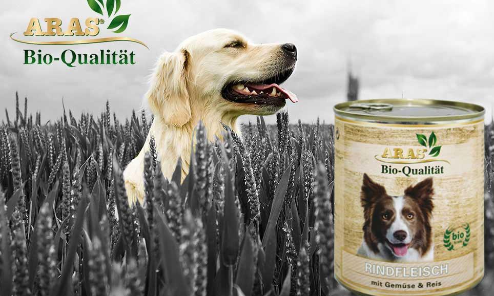 ARAS Nassfutter Hund, BIO-Qualität